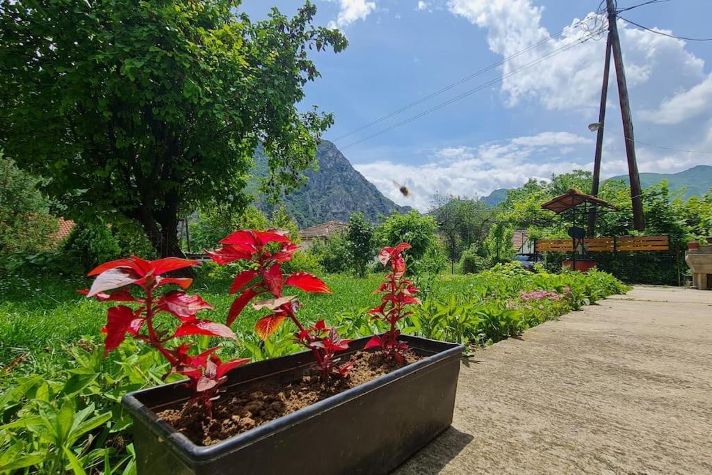 Ilis House Matka Villa สโกเปีย ภายนอก รูปภาพ